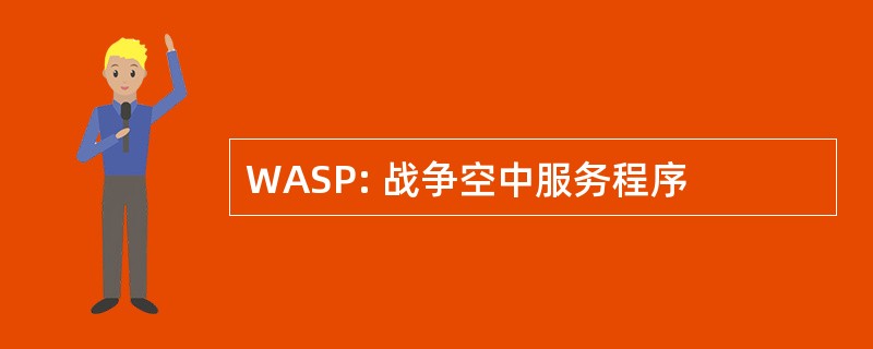 WASP: 战争空中服务程序