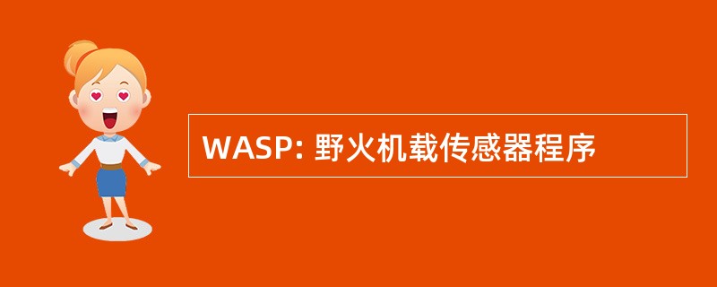 WASP: 野火机载传感器程序