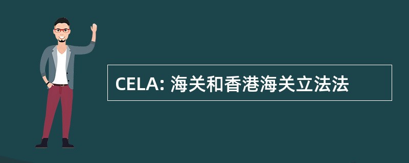 CELA: 海关和香港海关立法法