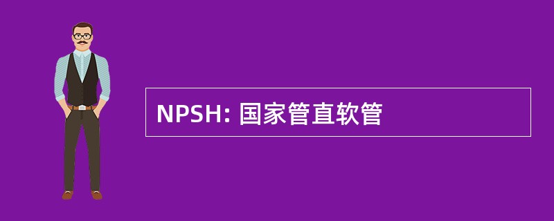 NPSH: 国家管直软管