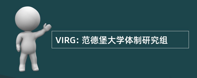 VIRG: 范德堡大学体制研究组