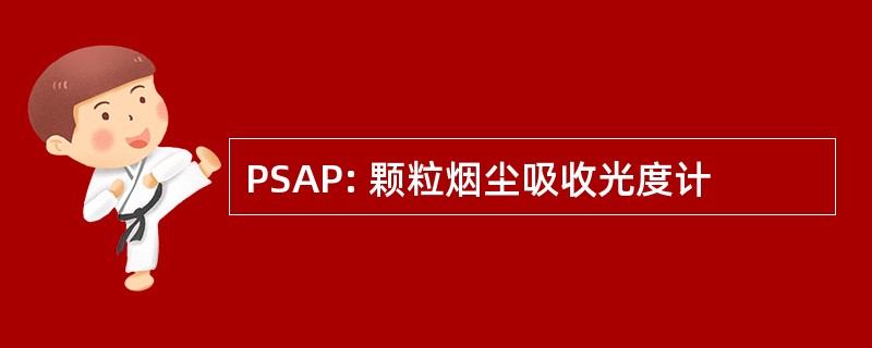 PSAP: 颗粒烟尘吸收光度计