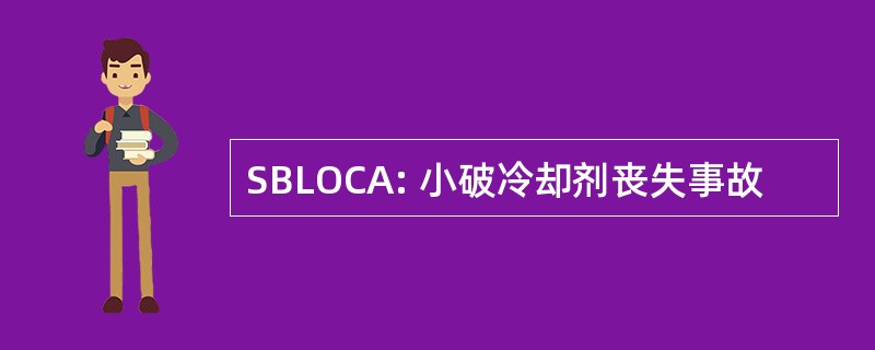 SBLOCA: 小破冷却剂丧失事故