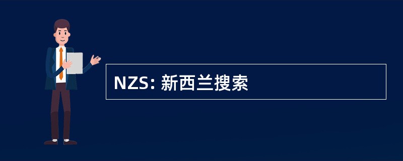 NZS: 新西兰搜索