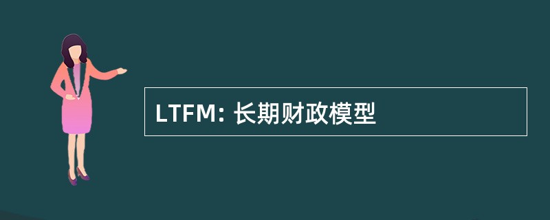 LTFM: 长期财政模型