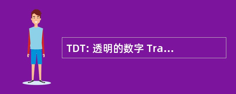 TDT: 透明的数字 Transmodulator