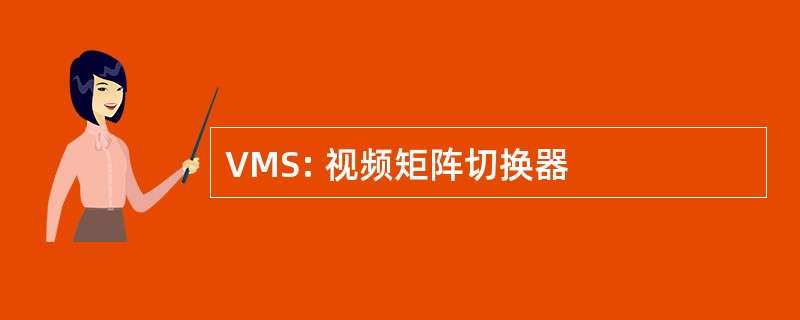 VMS: 视频矩阵切换器