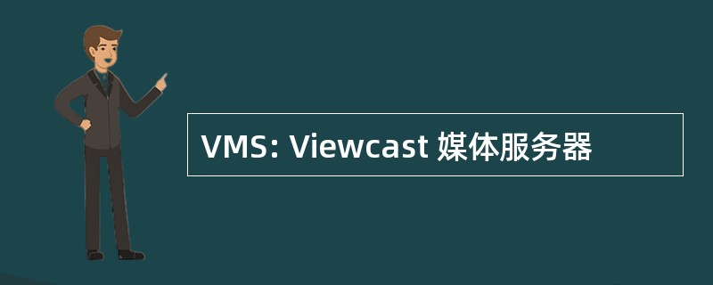 VMS: Viewcast 媒体服务器