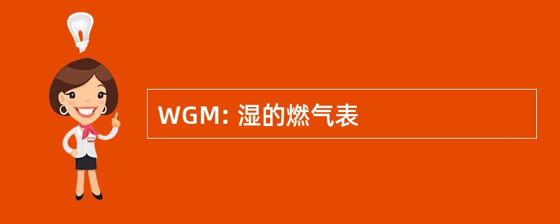 WGM: 湿的燃气表