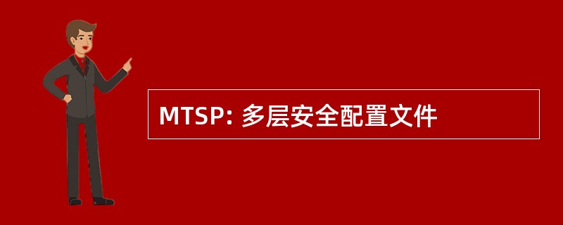 MTSP: 多层安全配置文件