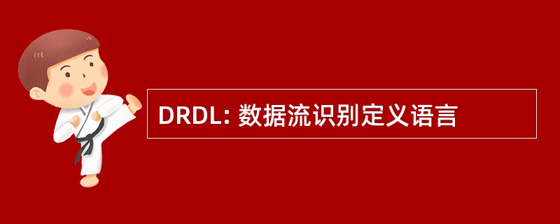 DRDL: 数据流识别定义语言