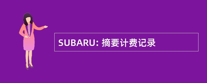 SUBARU: 摘要计费记录