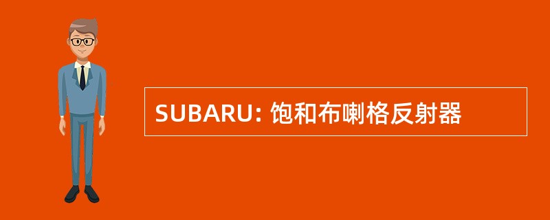 SUBARU: 饱和布喇格反射器