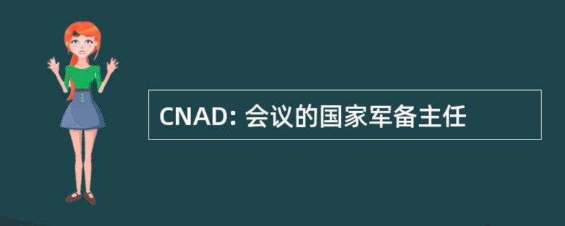 CNAD: 会议的国家军备主任