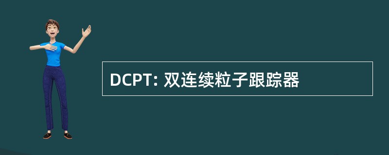 DCPT: 双连续粒子跟踪器