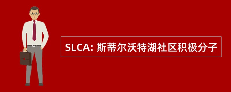 SLCA: 斯蒂尔沃特湖社区积极分子