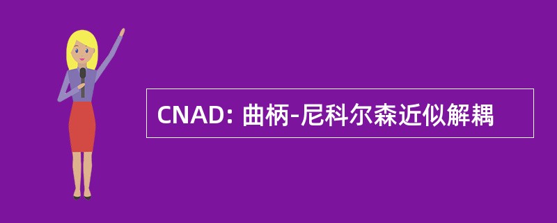 CNAD: 曲柄-尼科尔森近似解耦