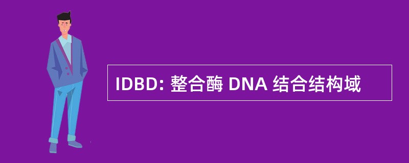 IDBD: 整合酶 DNA 结合结构域