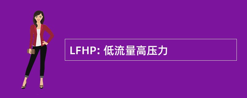 LFHP: 低流量高压力