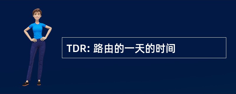 TDR: 路由的一天的时间