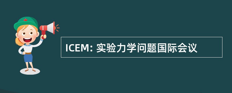 ICEM: 实验力学问题国际会议