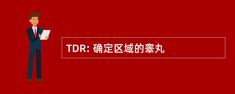 TDR: 确定区域的睾丸