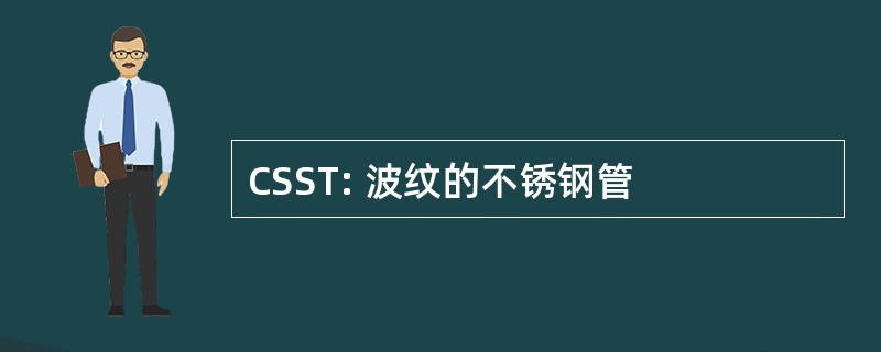 CSST: 波纹的不锈钢管