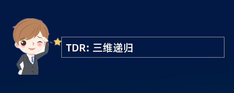 TDR: 三维递归