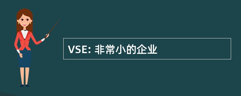 VSE: 非常小的企业