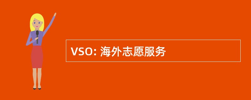 VSO: 海外志愿服务