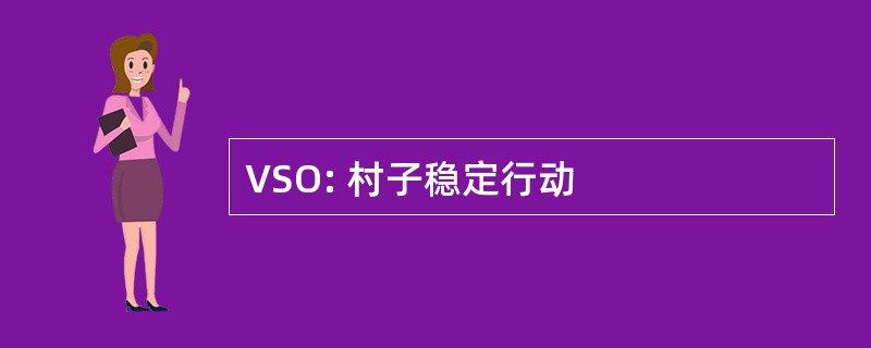 VSO: 村子稳定行动