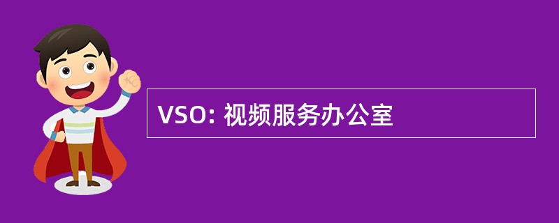 VSO: 视频服务办公室