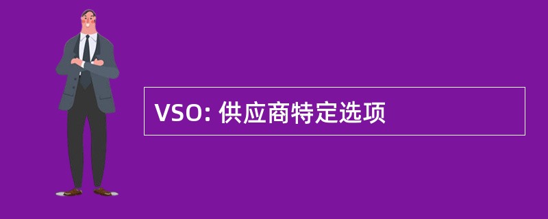 VSO: 供应商特定选项