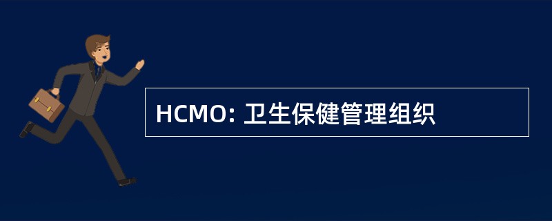 HCMO: 卫生保健管理组织