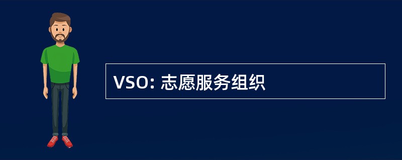 VSO: 志愿服务组织