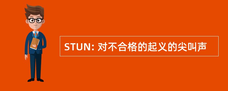 STUN: 对不合格的起义的尖叫声