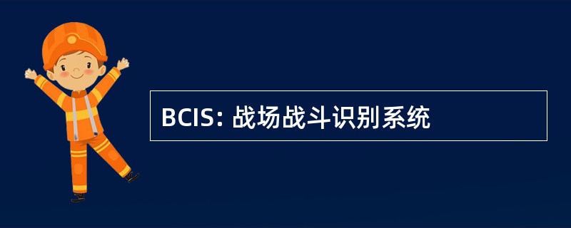 BCIS: 战场战斗识别系统