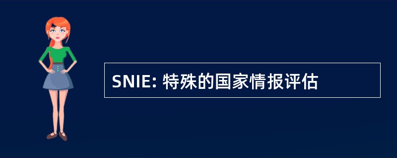 SNIE: 特殊的国家情报评估