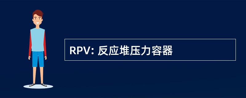 RPV: 反应堆压力容器