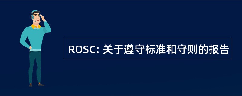 ROSC: 关于遵守标准和守则的报告