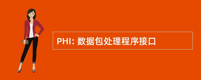 PHI: 数据包处理程序接口