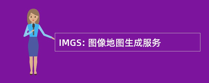 IMGS: 图像地图生成服务