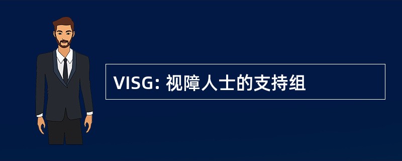 VISG: 视障人士的支持组