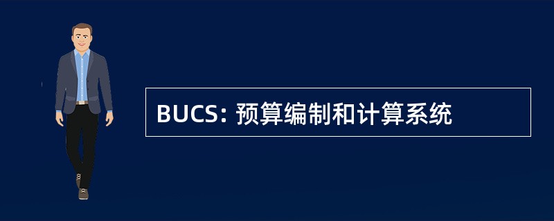 BUCS: 预算编制和计算系统