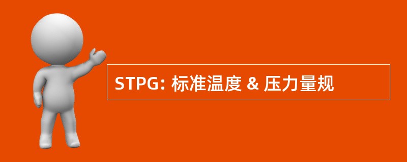 STPG: 标准温度 & 压力量规