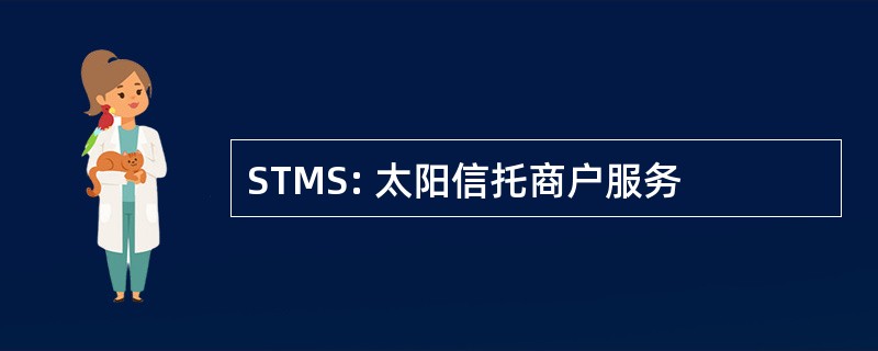 STMS: 太阳信托商户服务