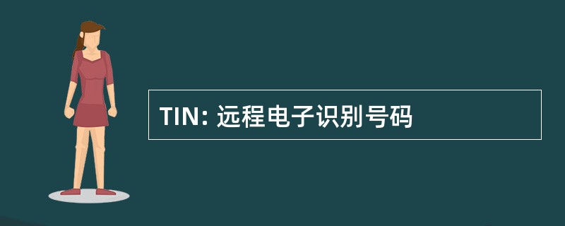 TIN: 远程电子识别号码