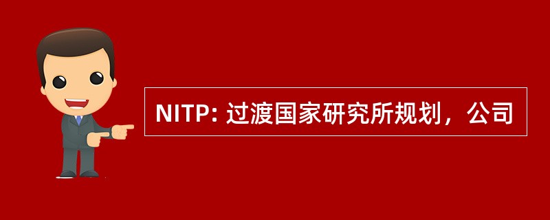 NITP: 过渡国家研究所规划，公司