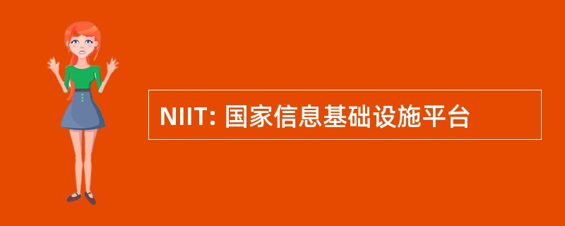 NIIT: 国家信息基础设施平台