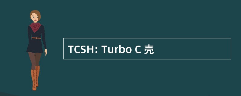 TCSH: Turbo C 壳